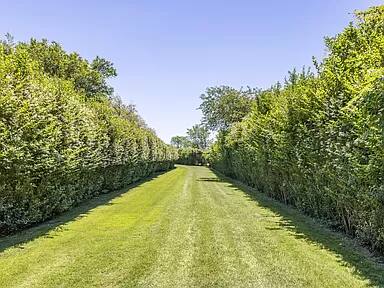 Renee Hamptons vacation rental photo 12