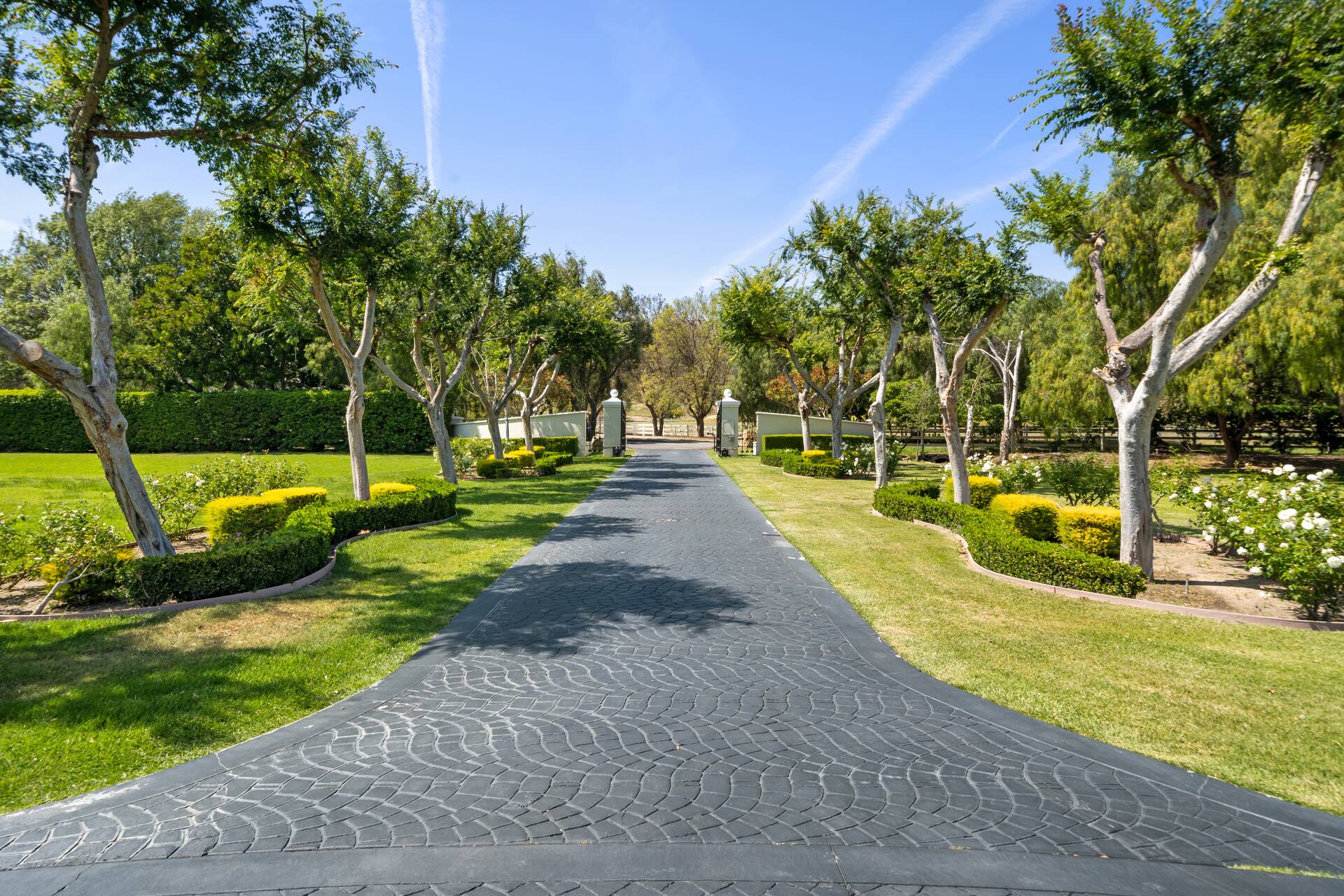 Jetset Estate Los Angeles vacation rental photo 57