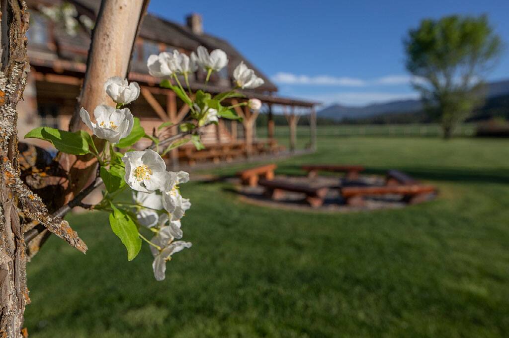 Summit Meadow Ranch Montana vacation rental photo 6