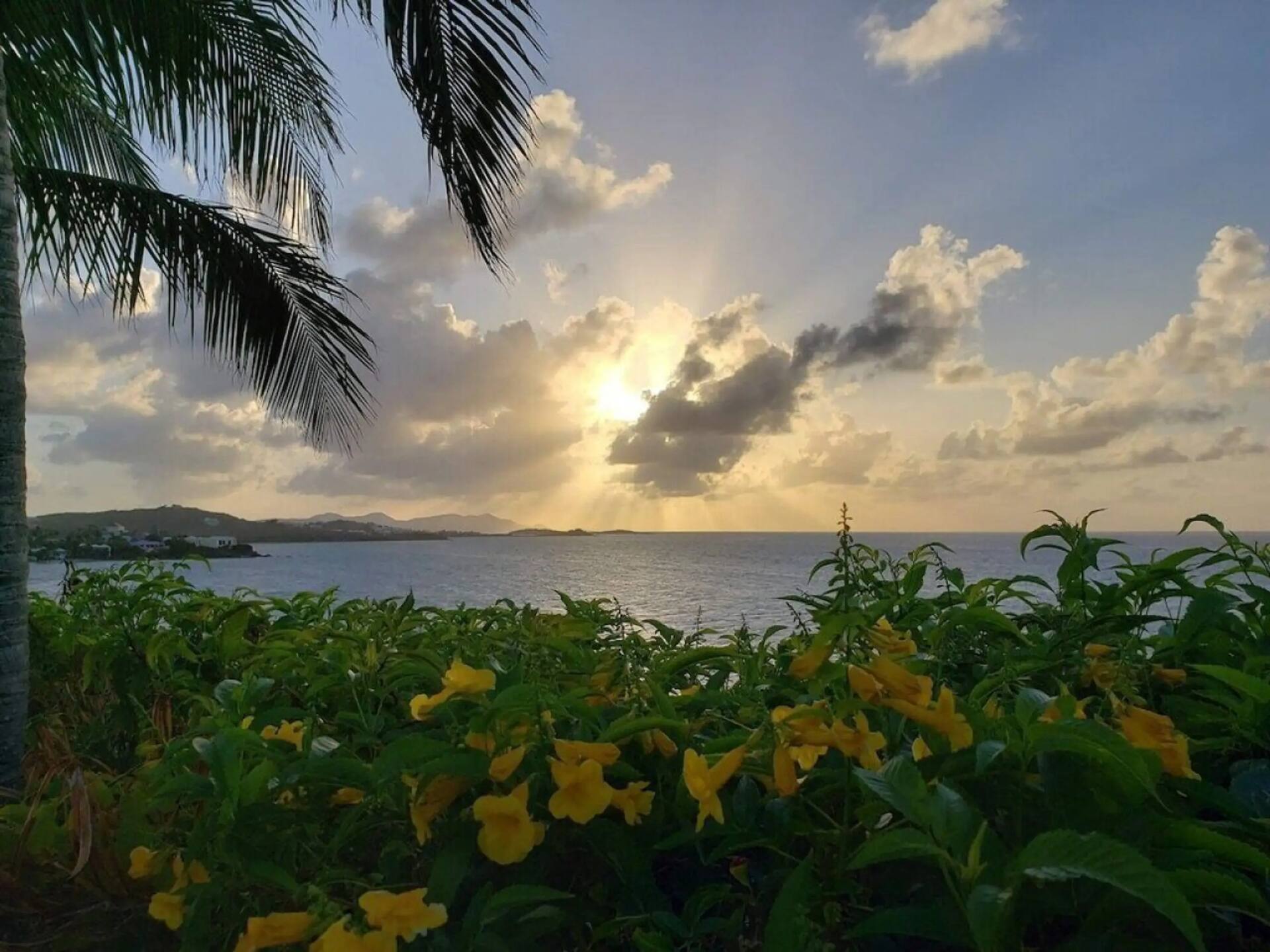 Island Croix St. Croix vacation rental photo 27