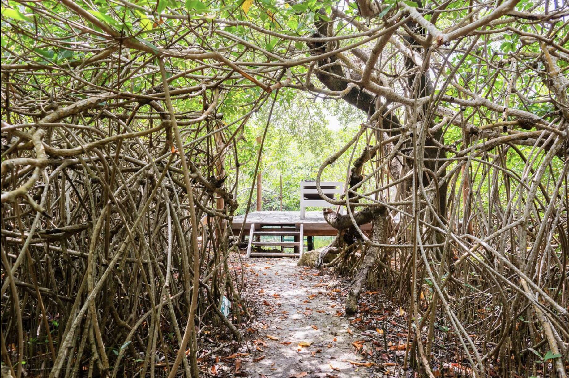 HOZ 2049 Tulum vacation rental photo 18