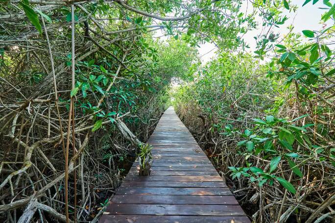 HOZ 2056 Tulum vacation rental photo 36