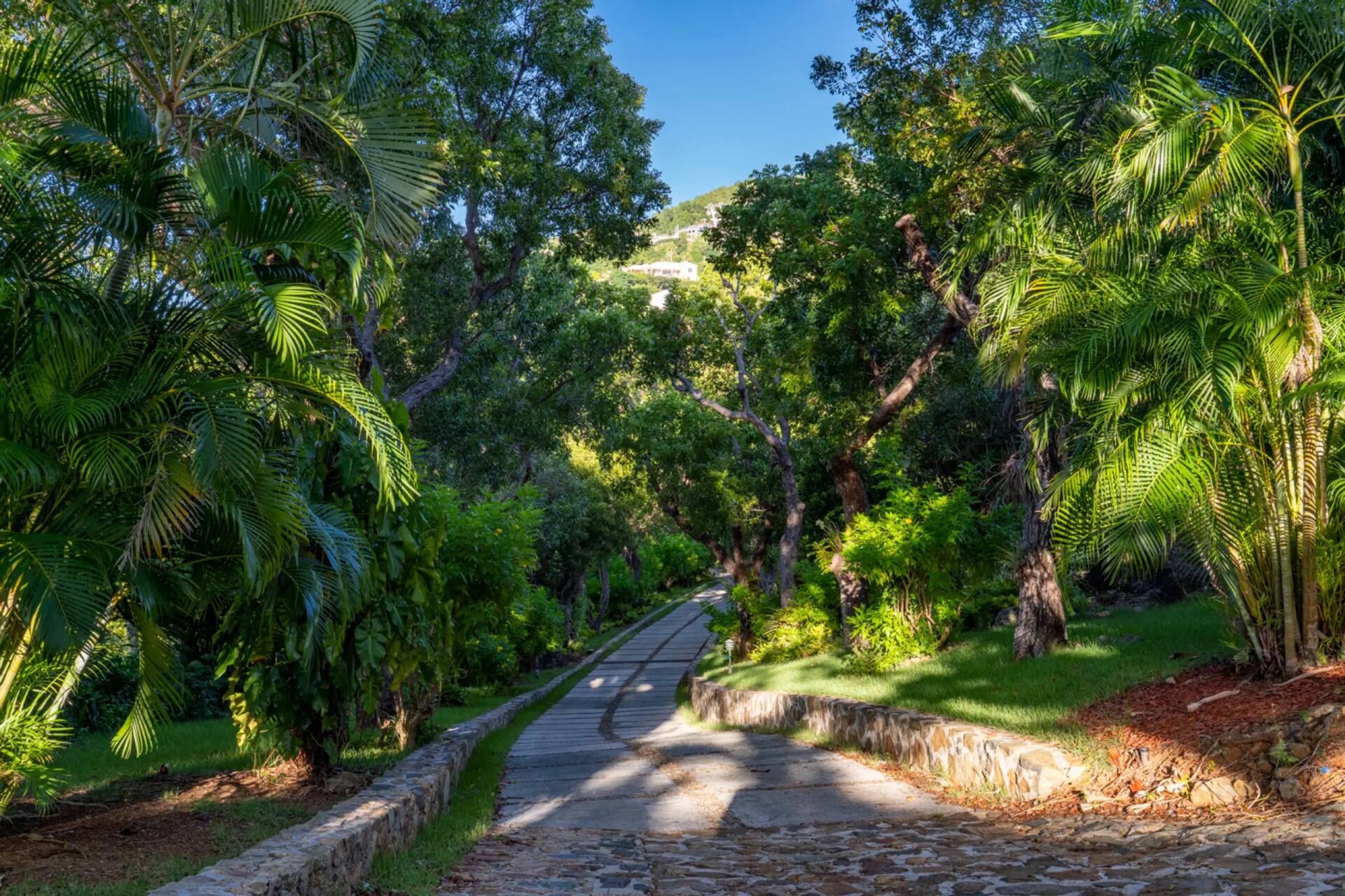 Charlotte Amelie US Virgin Islands vacation rental photo 29